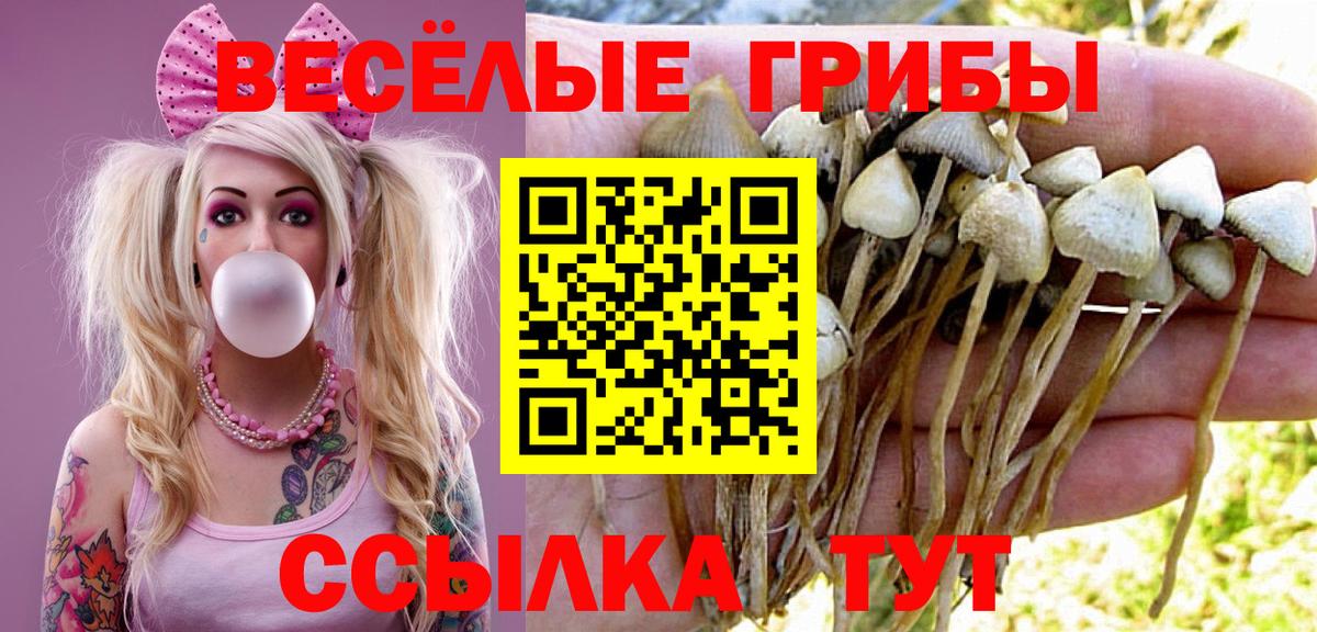 Галлюциногенные грибы мухоморы  Вход с VPN  купить закладку  Алушта 